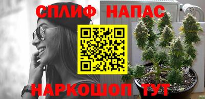 бошки Апрелевка